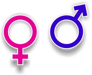 Gender Symbols THE LANGUAGE OF LOVE