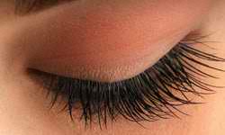about ll 2 Tips and Tricks for Awesome Lashes